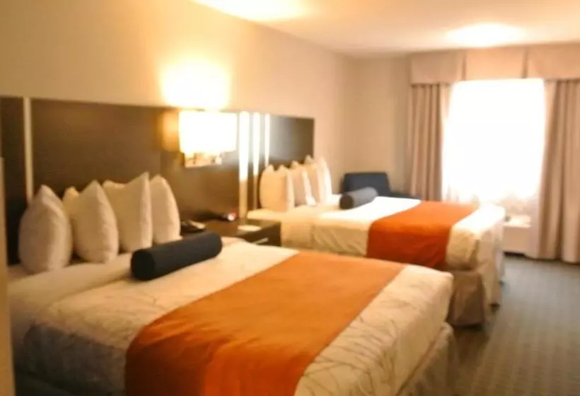 اتاق استاندارد, Guesthouse Inn & Suites Lexington