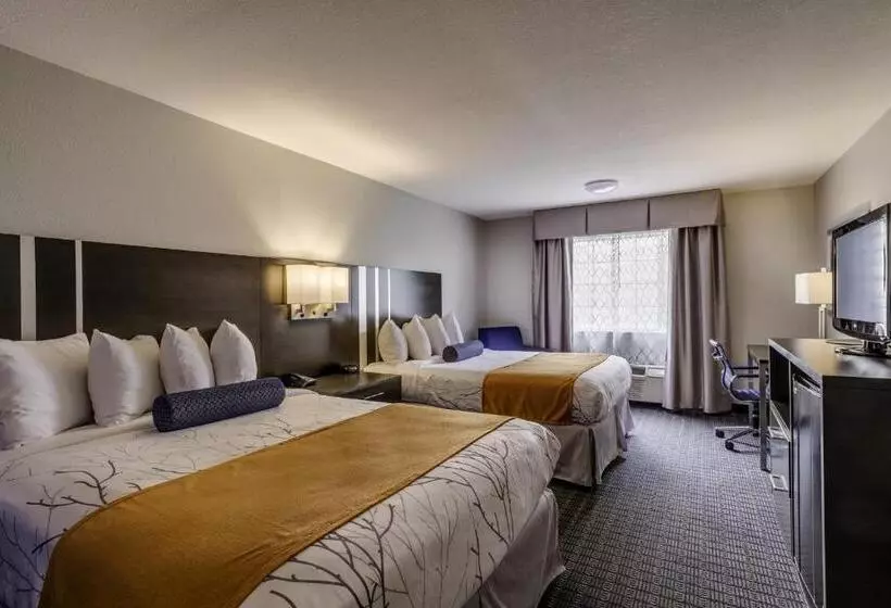 اتاق استاندارد, Guesthouse Inn & Suites Lexington