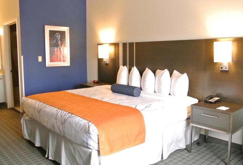 اتاق استاندارد با تخت بزرگ, Guesthouse Inn & Suites Lexington