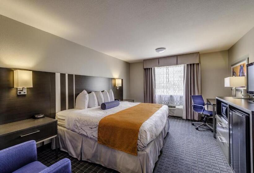 اتاق استاندارد با تخت بزرگ, Guesthouse Inn & Suites Lexington