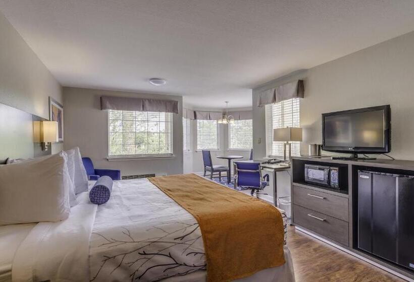 سوییت جونیور, Guesthouse Inn & Suites Lexington