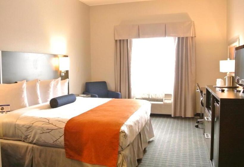 اتاق استاندارد با تخت دو نفره بزرگ برای معلولان, Guesthouse Inn & Suites Lexington