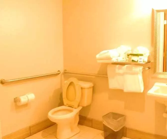 اتاق استاندارد با تخت دو نفره بزرگ برای معلولان, Guesthouse Inn & Suites Lexington