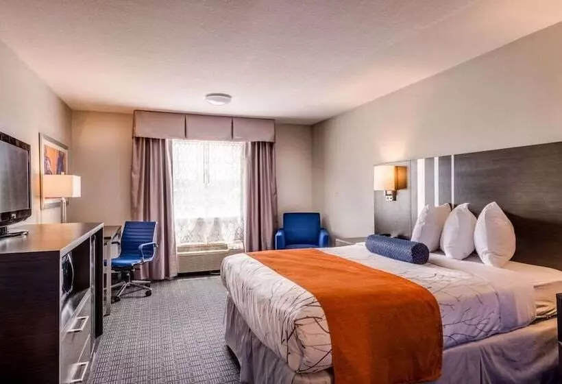 اتاق استاندارد با تخت دو نفره بزرگ برای معلولان, Guesthouse Inn & Suites Lexington