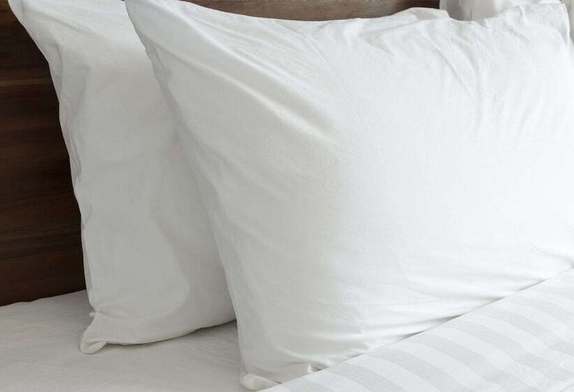 اتاق استاندارد با تخت دو نفره بزرگ برای معلولان, Guesthouse Inn & Suites Lexington