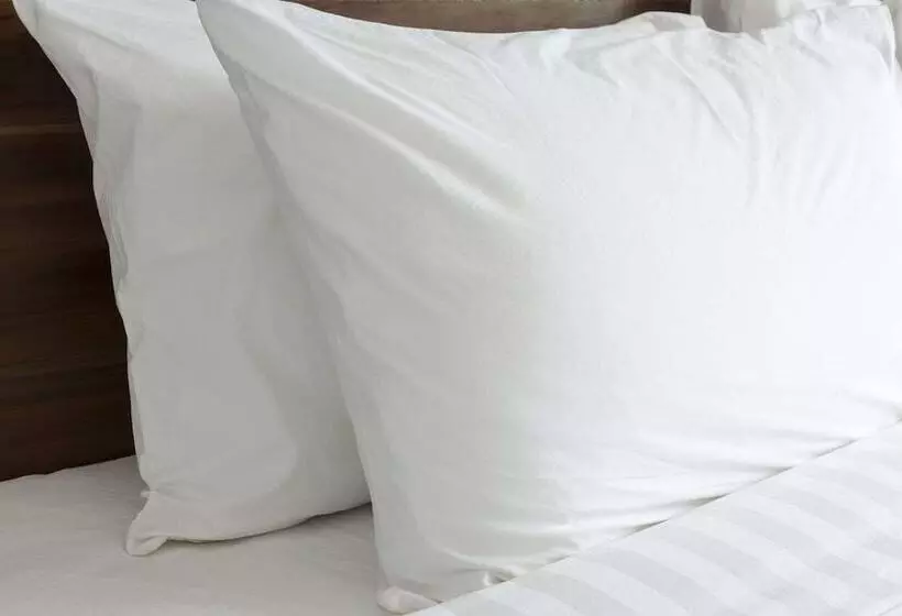 اتاق استاندارد با تخت دو نفره بزرگ برای معلولان, Guesthouse Inn & Suites Lexington