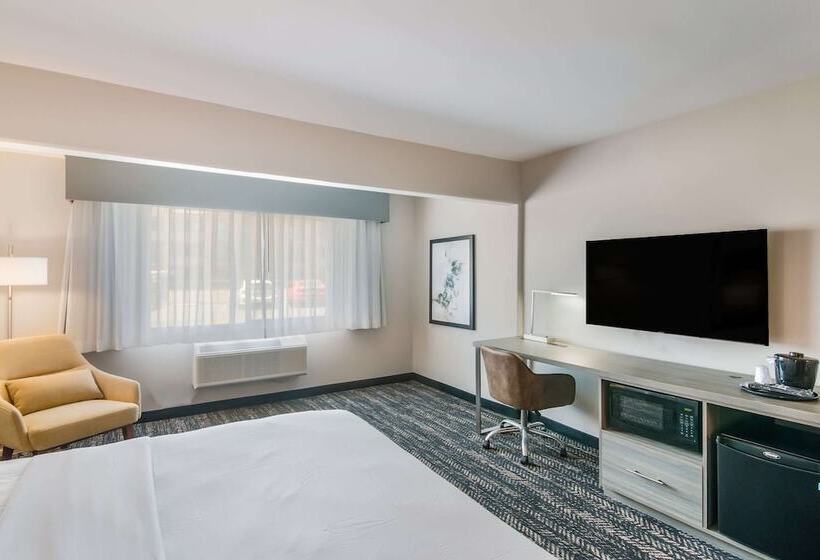 غرفة قياسية سرير مزدوج, Hourglass Hotel, Ascend Hotel Collection