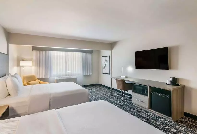 اتاق استاندارد با 2 تخت دوبل, Hourglass Hotel, Ascend Hotel Collection