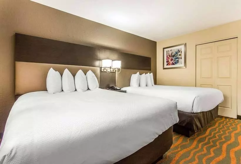 Sviitti, Mainstay Suites Greenville Airport