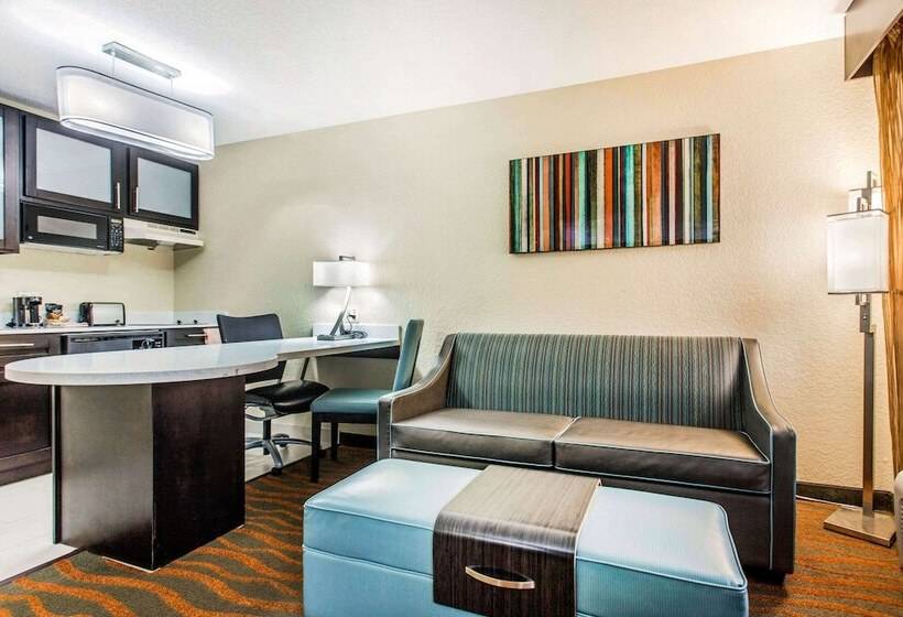 Номер Стандарт Адаптированный для Инвалидов, Mainstay Suites Greenville Airport