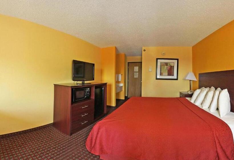 غرفة قياسية سرير كينج, Quality Inn Central Wisconsin Airport