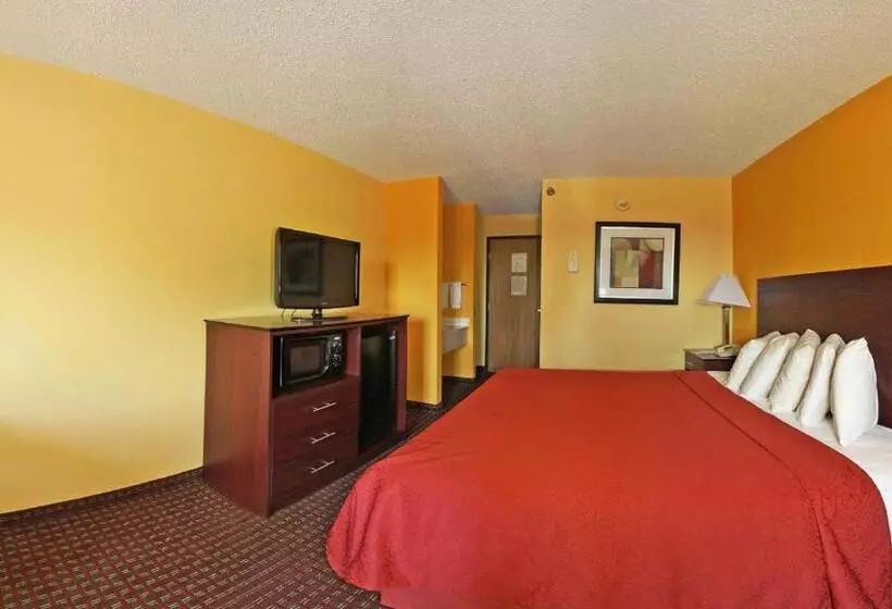 اتاق استاندارد با تخت بزرگ, Quality Inn Central Wisconsin Airport
