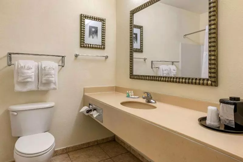 スイート, Quality Inn Zephyrhillsdade City