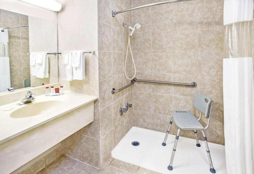 身障者適用キングサイズベッドルーム, Ramada By Wyndham Walterboro