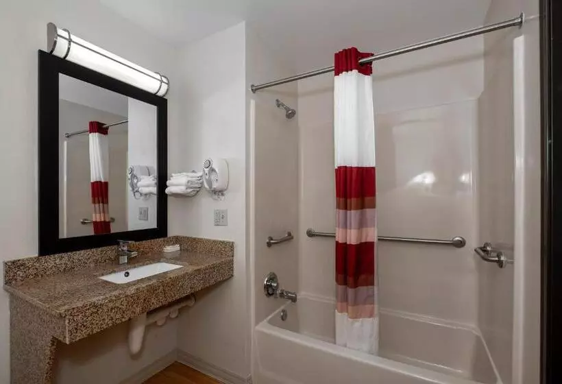 身障者適用スイートルーム, Red Roof Inn & Suites Dover Downtown