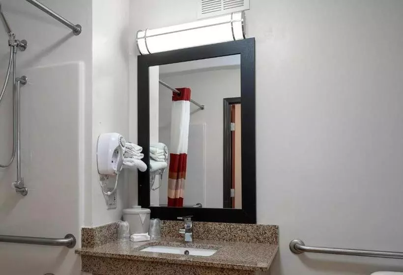 身障者適用スーペリアールーム, Red Roof Inn & Suites Dover Downtown