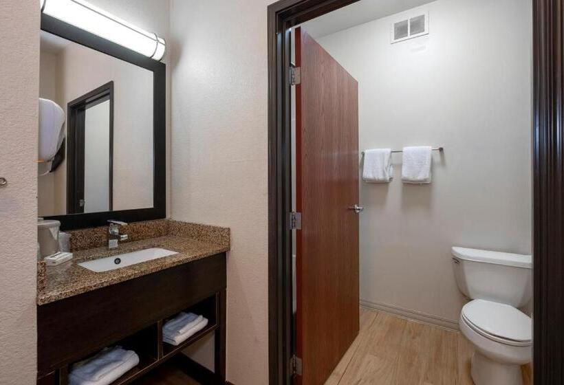 Номер Superior Кровать Кинг, Red Roof Inn & Suites Dover Downtown