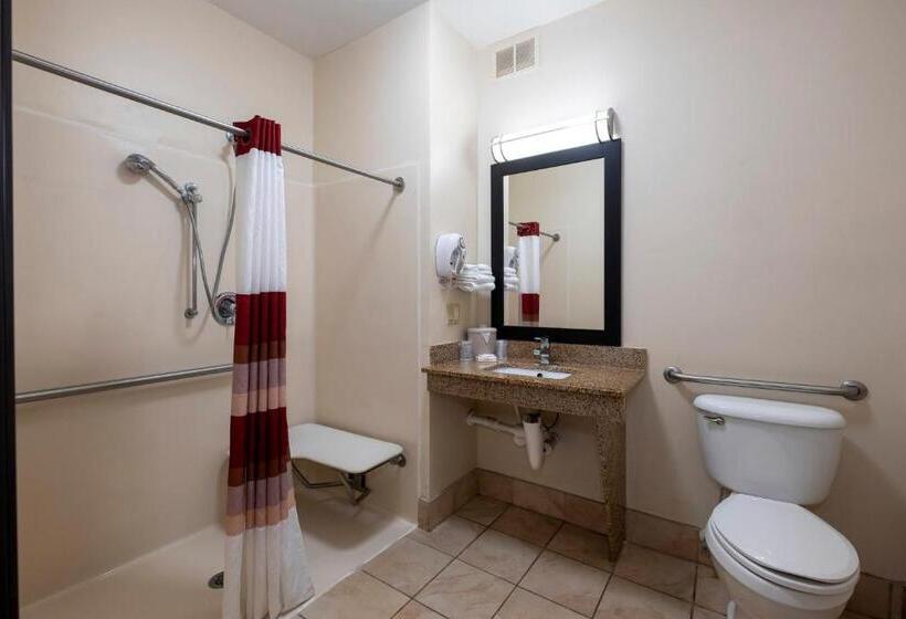 Номер Superior Адаптированный для Инвалидов, Red Roof Inn & Suites Dover Downtown