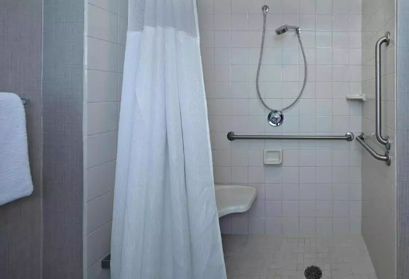 سوئیت با تخت بزرگ, Residence Inn By Marriott Fort Lauderdale Weston
