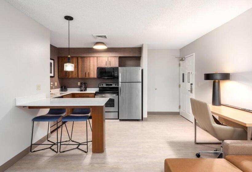 クイーンベッドのスタンダードスタジオ, Residence Inn Springfield