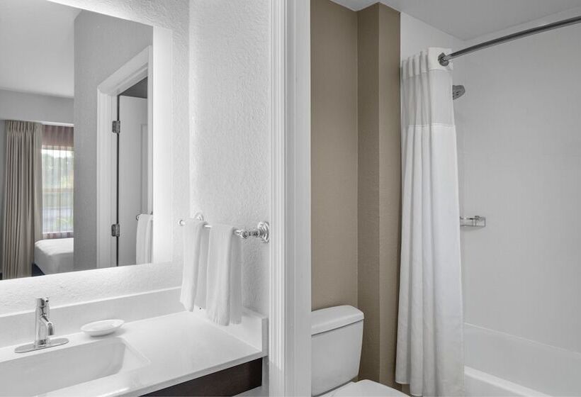 Люкс, Residence Inn Tampa Oldsmar