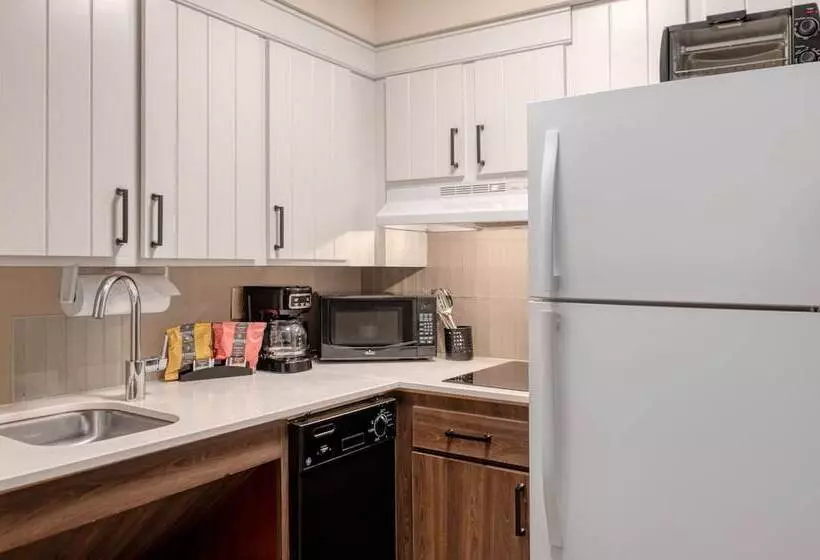 ２ベッドスイートルーム, Staybridge Suites Allentown Airport Lehigh Valley, An Ihg