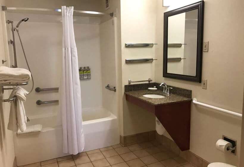 适合残疾人士使用的套间, Staybridge Suites Allentown Airport Lehigh Valley, An Ihg