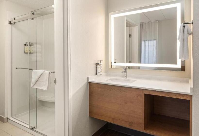 Люкс Адаптированный для Инвалидов, Staybridge Suites Minneapolis Bloomington, An Ihg