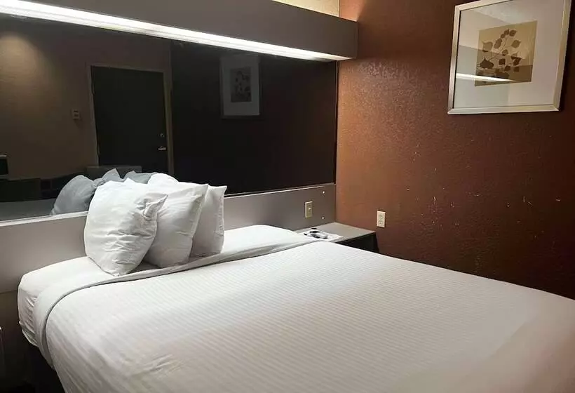 身障者適用スタンダードルーム, Microtel Inn & Suites By Wyndham Houston/webster/nasa/clearlake
