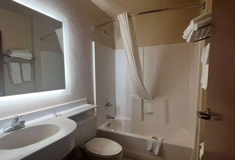 スイート, Microtel Inn & Suites By Wyndham Houston/webster/nasa/clearlake