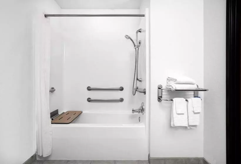 اتاق استاندارد برای معلولان, Microtel Inn & Suites By Wyndham Mankato