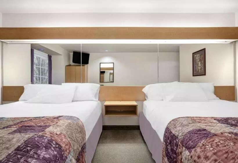 اتاق استاندارد برای معلولان, Microtel Inn & Suites By Wyndham Mankato