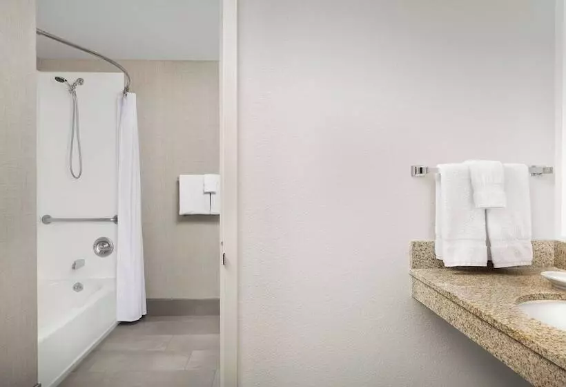 スイート, Residence Inn Denver South/park Meadows Mall