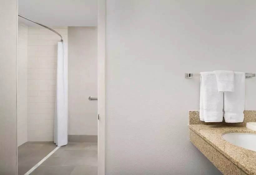 ２ベッドスイートルーム, Residence Inn Denver South/park Meadows Mall