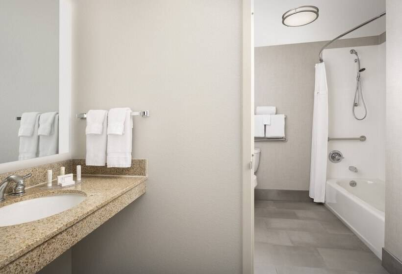 身障者適用スイートルーム, Residence Inn Denver South/park Meadows Mall
