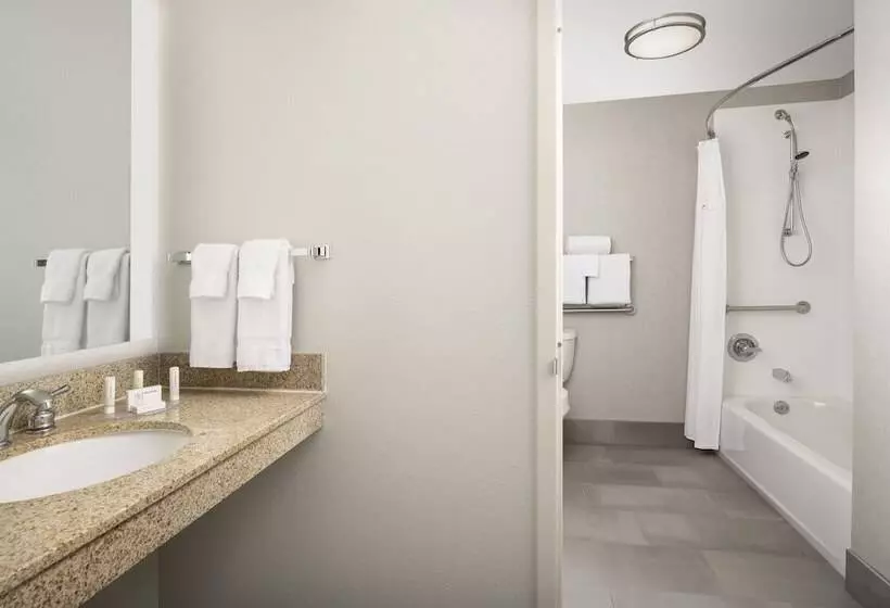 身障者適用スイートルーム, Residence Inn Denver South/park Meadows Mall