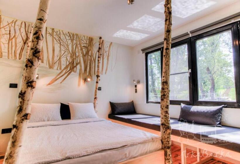 تختخواب در اتاق مشترک, Arkabarka Floating Hostel