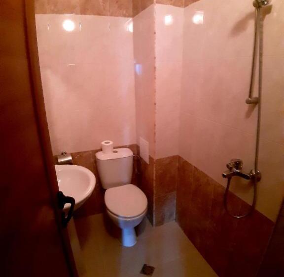 Апартаменты 1 Спальня, Family Hotel Pautalia