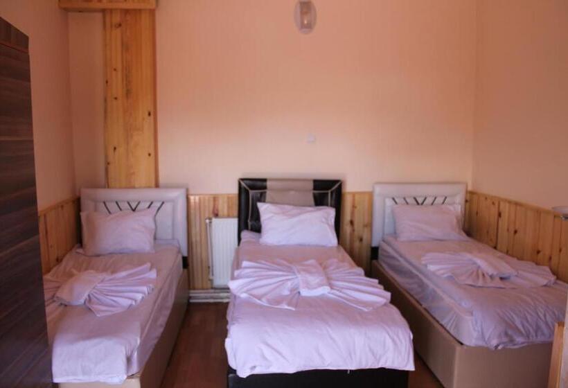 스탠다드 트리플 룸, Sultan Pansion Bird Paradise