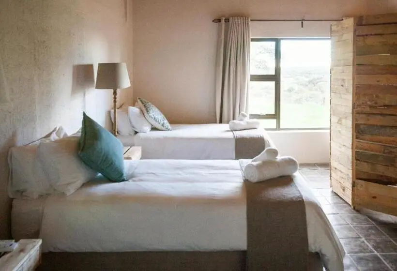 スタンダード４人部屋, Witfontein Game Lodge