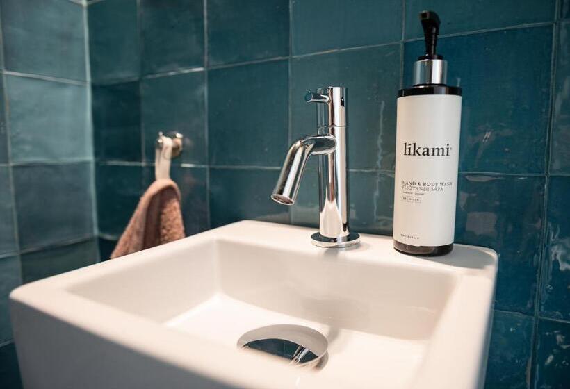 آپارتمان لوکس 1 خوابه, B&b Hof Beygaert