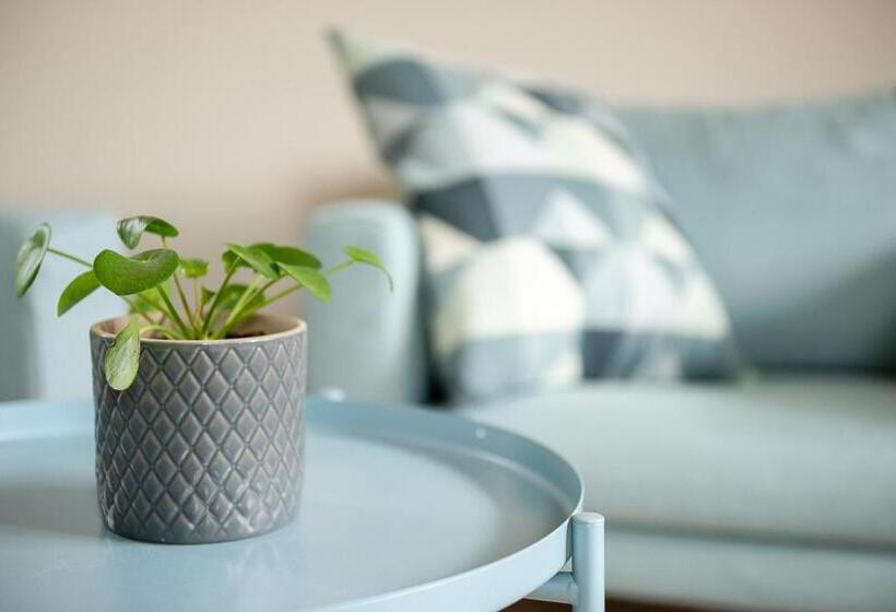 استودیوی لوکس, B&b Hof Beygaert