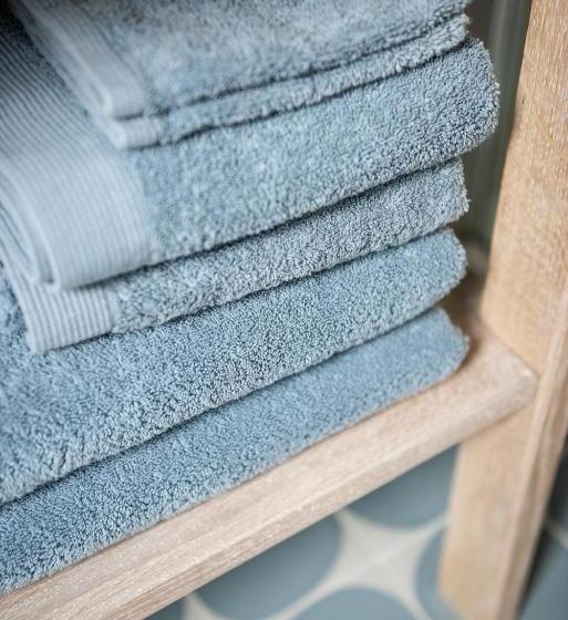 استودیوی لوکس, B&b Hof Beygaert