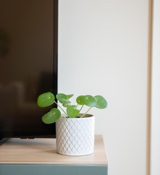 استودیوی لوکس, B&b Hof Beygaert