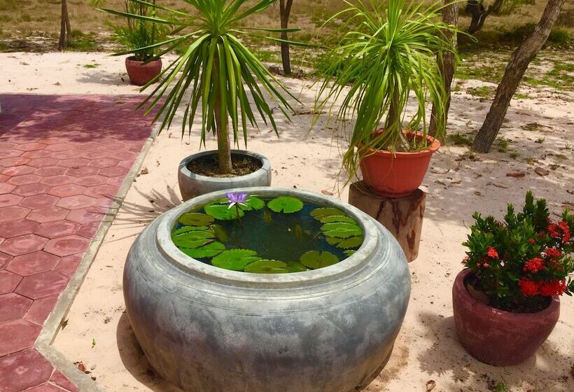 Дом 1 Спальня, Dracaena Resort