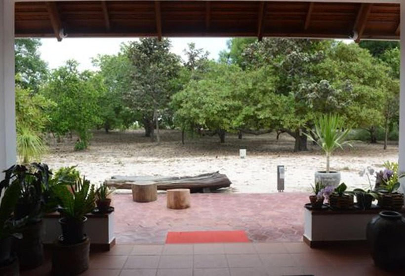 Дом 1 Спальня, Dracaena Resort