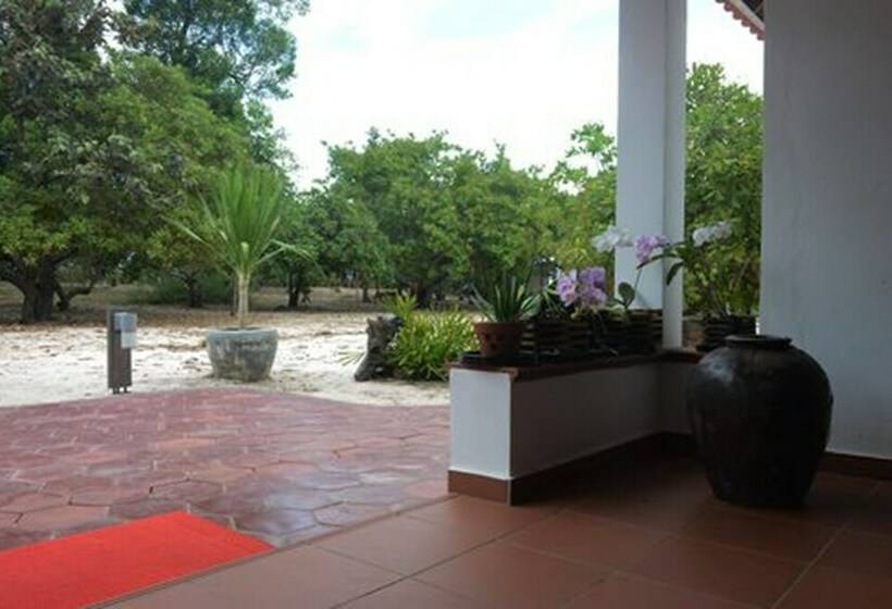 Дом 1 Спальня, Dracaena Resort