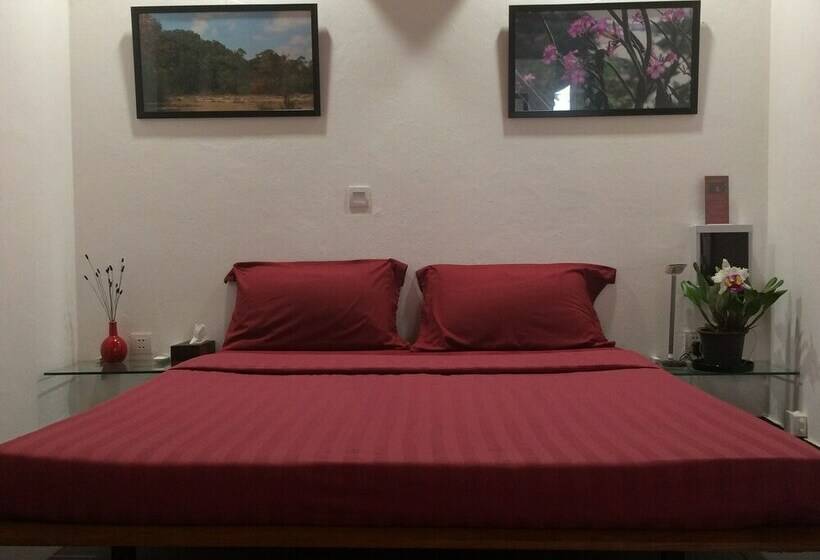 Дом 1 Спальня, Dracaena Resort