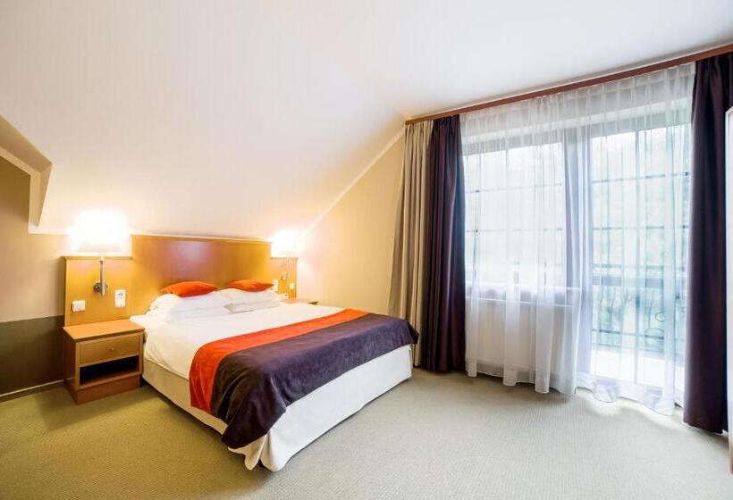 חדר סטנדרט, Korona Park Klewinowo Hotel Spa & Conference