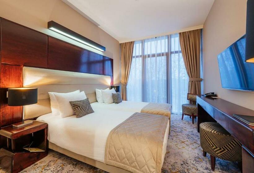 חדר סטנדרט, L`art Hotel Carei